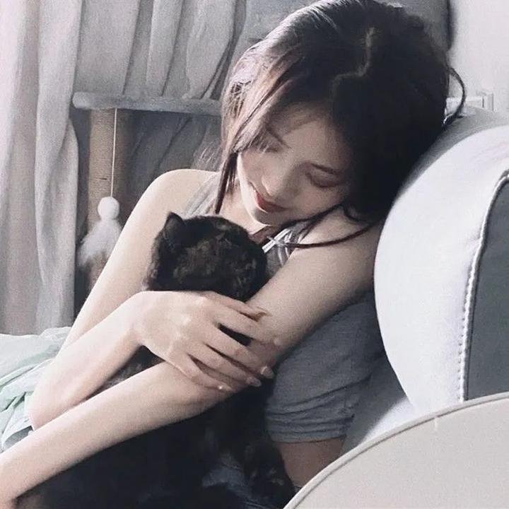 说得好，小猫咪！