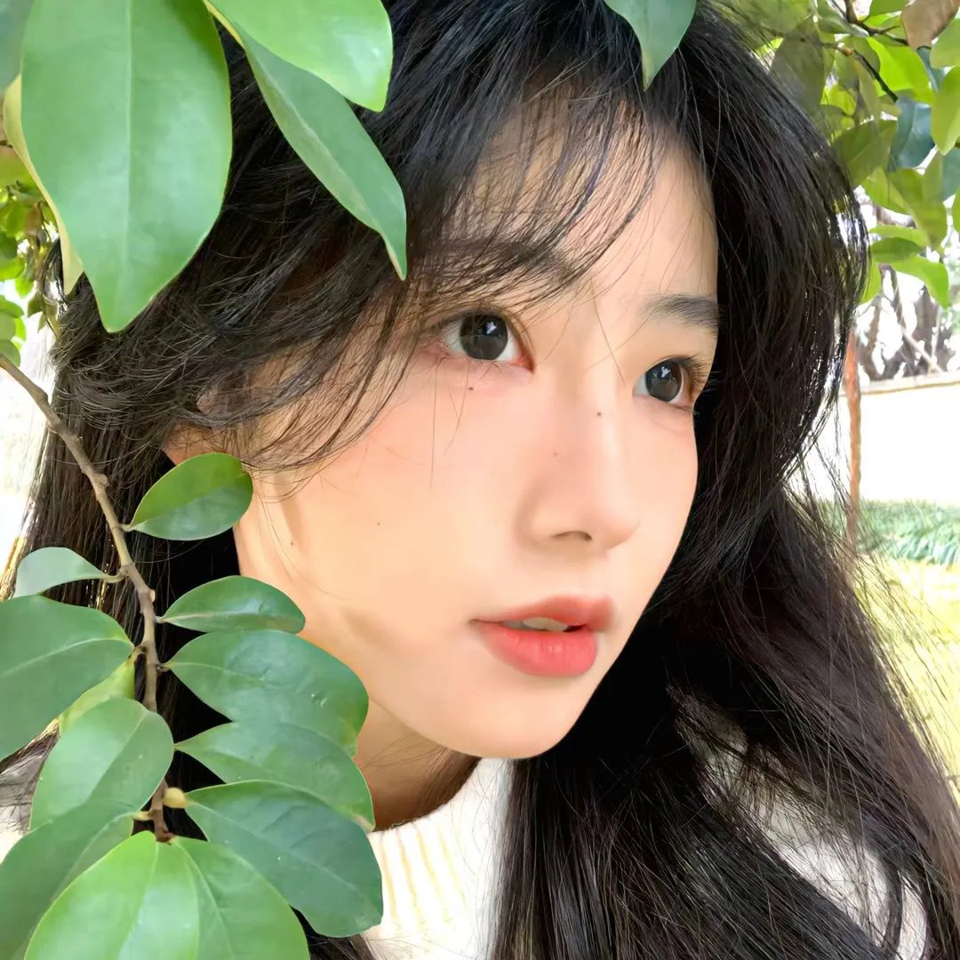 新爱神之影